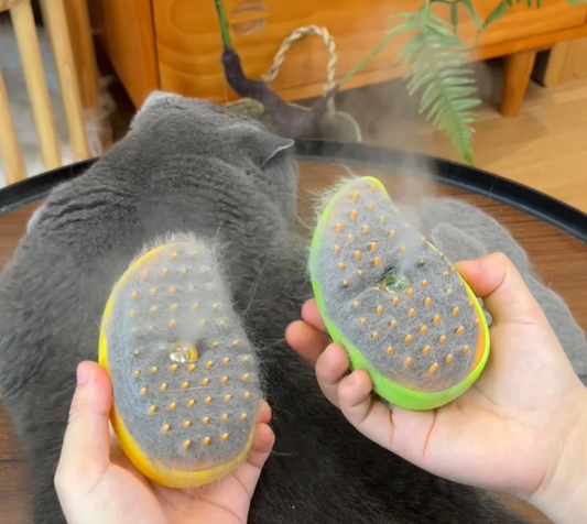Purrfect steamy pet brush compact mango edition